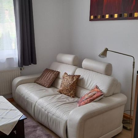 Ferienwohnung Christel Hirschhorn-Neckar المظهر الخارجي الصورة
