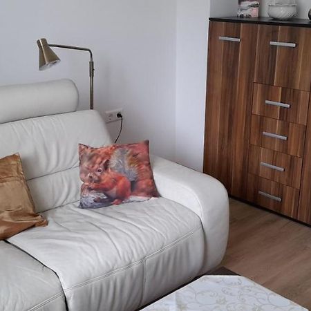 Ferienwohnung Christel Hirschhorn-Neckar المظهر الخارجي الصورة