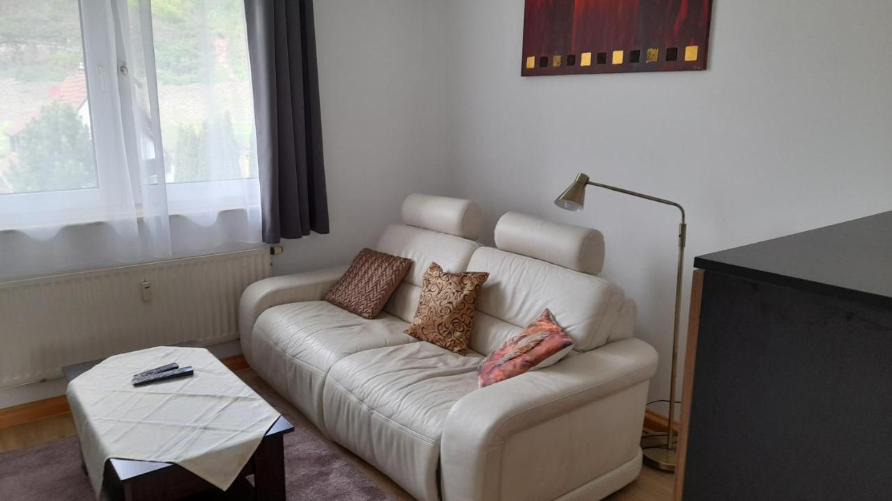 Ferienwohnung Christel Hirschhorn-Neckar المظهر الخارجي الصورة