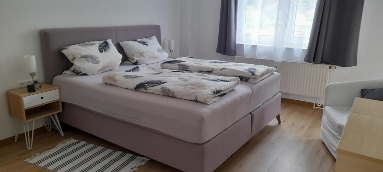 Ferienwohnung Christel Hirschhorn-Neckar المظهر الخارجي الصورة
