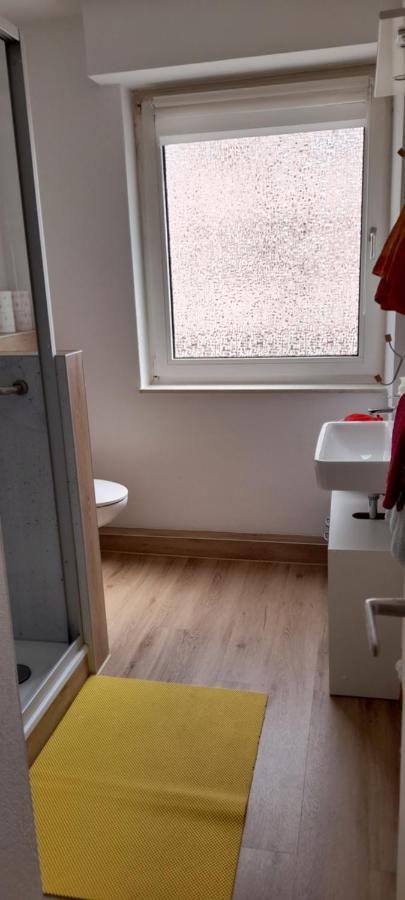 Ferienwohnung Christel Hirschhorn-Neckar المظهر الخارجي الصورة