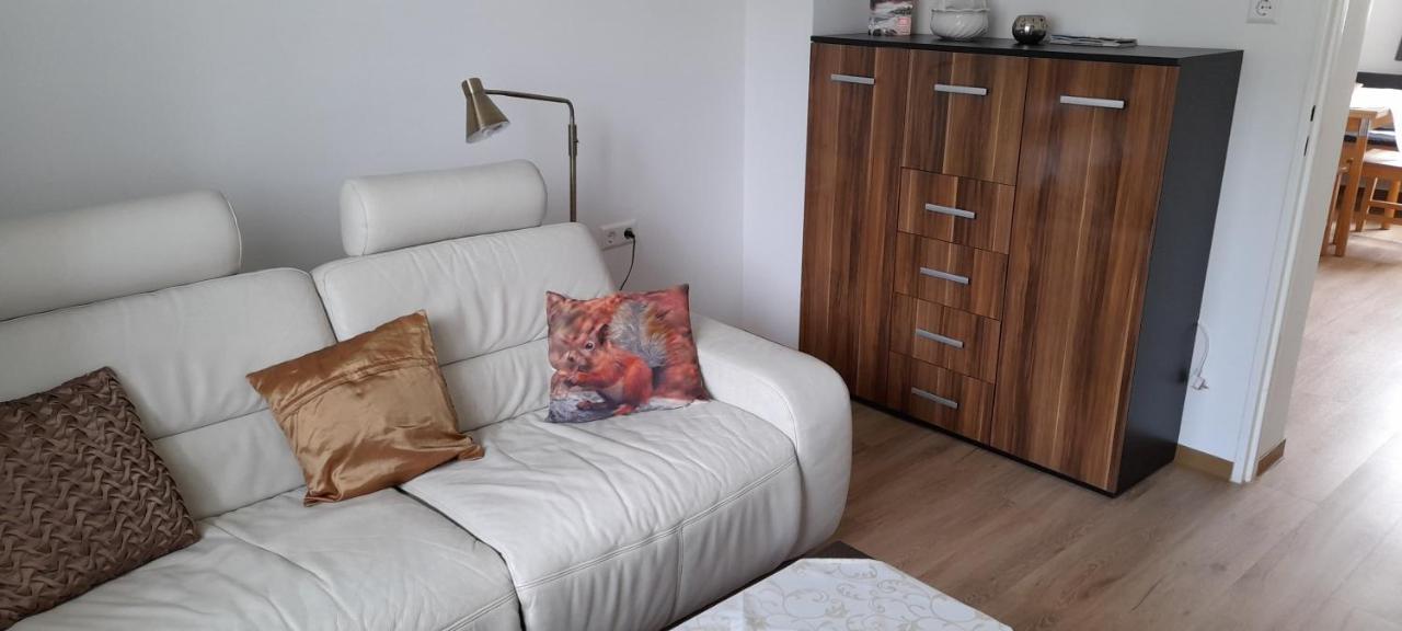 Ferienwohnung Christel Hirschhorn-Neckar المظهر الخارجي الصورة