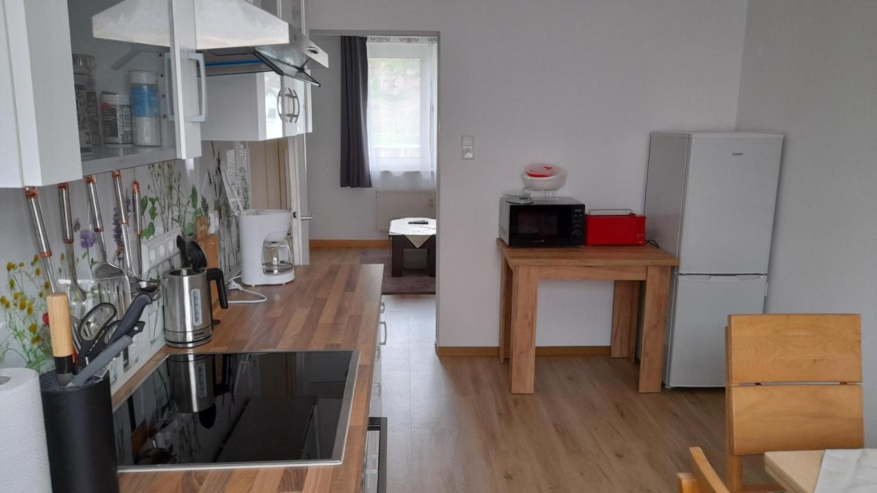 Ferienwohnung Christel Hirschhorn-Neckar المظهر الخارجي الصورة