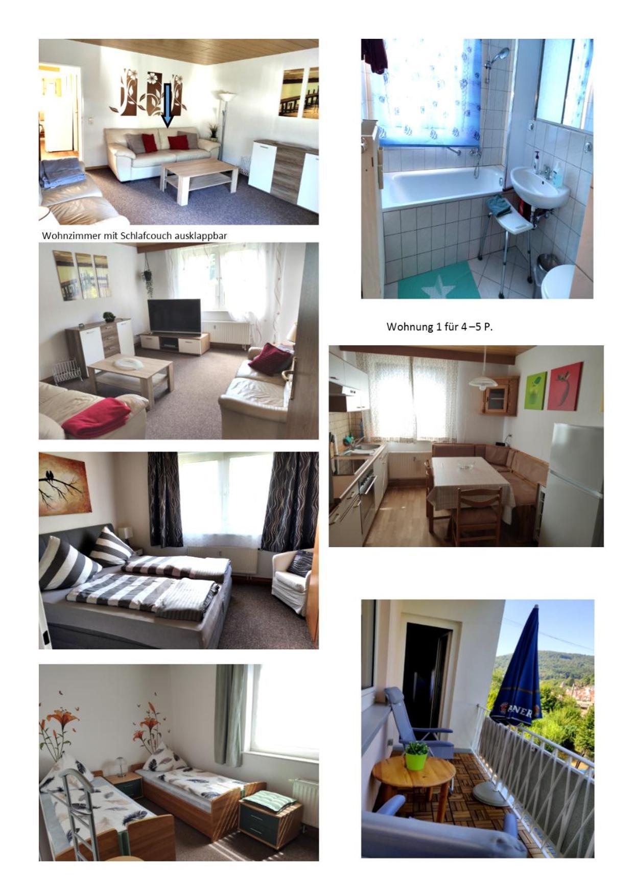 Ferienwohnung Christel Hirschhorn-Neckar المظهر الخارجي الصورة