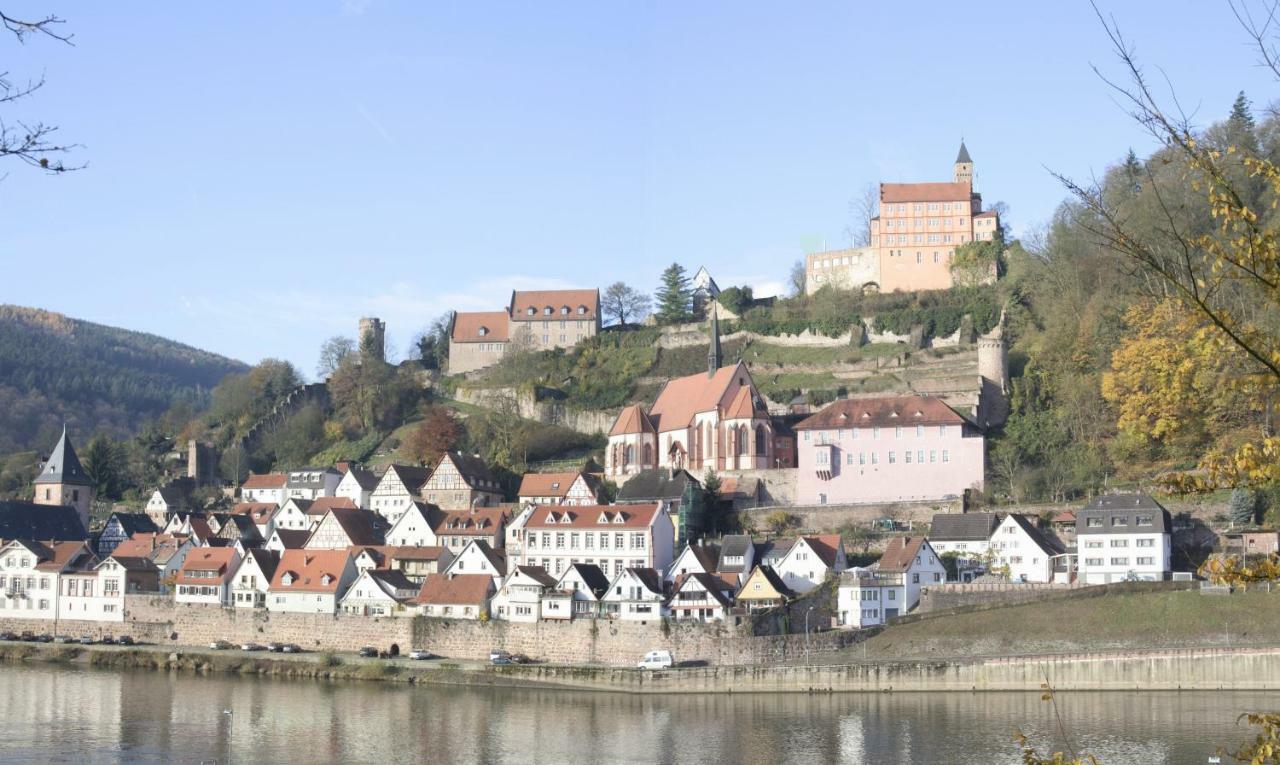 Ferienwohnung Christel Hirschhorn-Neckar المظهر الخارجي الصورة