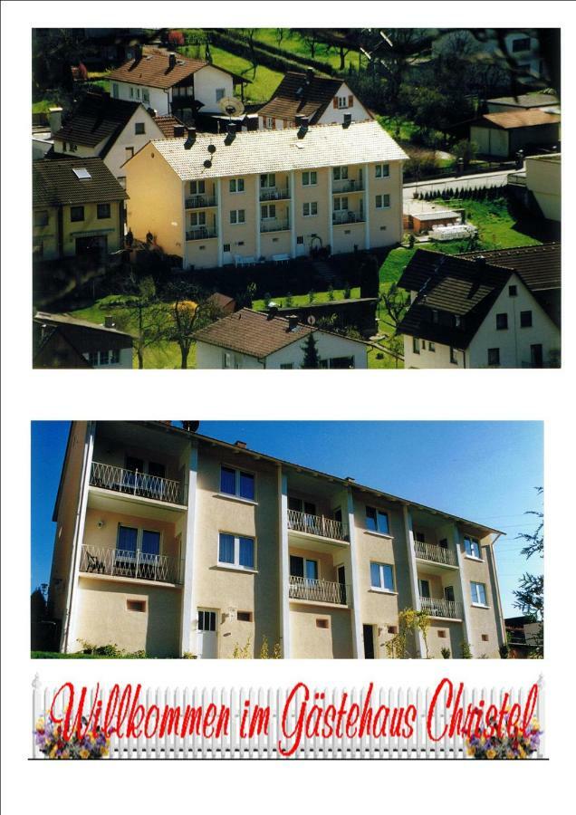 Ferienwohnung Christel Hirschhorn-Neckar المظهر الخارجي الصورة