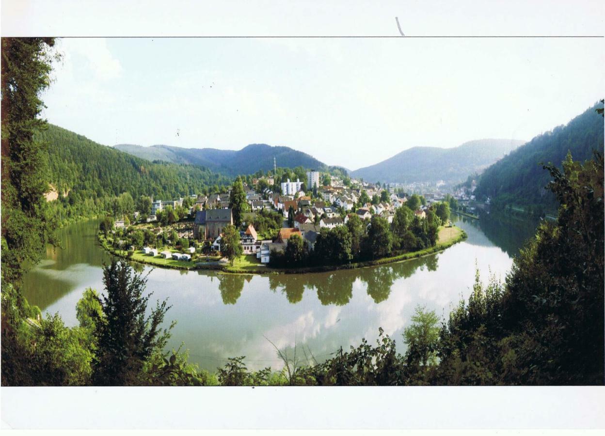 Ferienwohnung Christel Hirschhorn-Neckar المظهر الخارجي الصورة